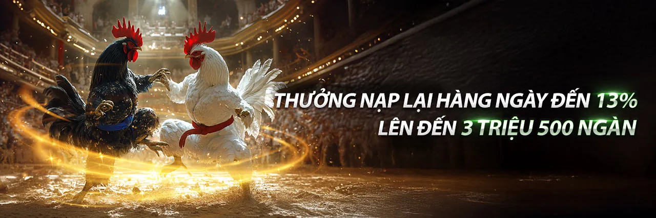 Đá Gà Trực Tiếp Hôm Nay C3 Trận 21 – Sân đấu kịch tính